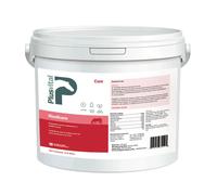 Graisse pour sabot cheval Plusvital Blanc 2,5 kg