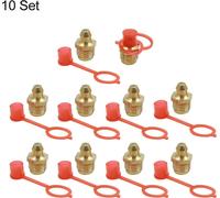 Graisseur Droit M10x1 Raccords Graisseur Laiton avec Bouchon Anti-poussière 10set