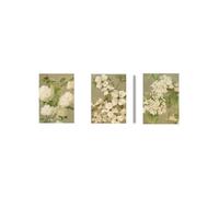 Graiting 3 Pièces Impression Botanique Cottagecore Ferme Pays Aquarelle Art Jardinage Cadeau Fleurs Blanches Galerie Mur