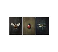 Graiting Affiche Murale en Forme D'insecte, 3 Pièces, Abeille, Coccinelle, Libellule, Imprimés, Décor Rustique, Cottagecore, Galerie, Esthétique Académique Sombre(30x40cm Unframe)