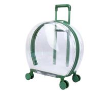 Gralara Caisse Transport avec Poignée Télescopique Respirant Valise Portable Bagage pour Vétérinaire, Vert, Lisse