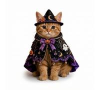 Gralara Costume Chat avec Col d'halloween Cape Festif Vêtement pour Chats, Sorcière Violette Ciel Étoilé