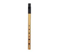 Gralara Flûte Irlandaise, Instrument Facile à Nettoyer, Cadeau d'anniversaire Portable, 6 Trous, pour Adultes, Débutants et Enfants, D Key Gold