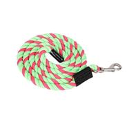 Gralara Longe pour Cheval, Fixation Rapide pour Licol, Rêne Robuste avec Mousqueton à Boulon, Fixation Au Licol Ou Au Harnais, Longe pour Chevaux, Vert Rose