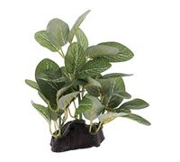 Gralara Plantes d'eau Artificielles Vivarium Décor Terrarium Faux Végétal Résine Simulation Cachette Paysagère Convient pour Reptiles Amphibiens Décor Aquariu, Type 2