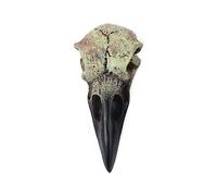 Gramigg Collier en forme de crâne de corbeau pour adulte - Bijoux gothiques en résine - Décoration de fête - Bijoux fantaisie - Pendentif crâne à suspendre