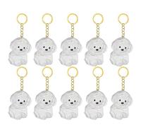 Gramigg Lot de 2/3/4/5/10 porte-clés commémoratifs pour poils d'animaux domestiques avec boîte de rangement transparente pour chérir les fourrures de chats, chiens, conservations, pendentifs