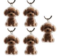 Gramigg Lot de 2/3/4/5/10 porte-clés commémoratifs pour poils d'animaux domestiques avec boîte de rangement transparente pour chérir les fourrures de chats, chiens, conservations, pendentifs