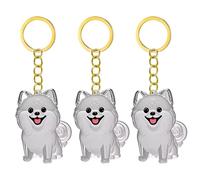 Gramigg Lot de 2/3/4/5/10 porte-clés commémoratifs pour poils d'animaux domestiques avec boîte de rangement transparente pour chérir les fourrures de chats, chiens, conservations, pendentifs