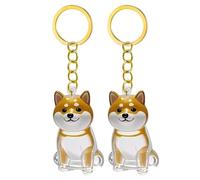 Gramigg Lot de 2/3/4/5/10 porte-clés commémoratifs pour poils d'animaux domestiques avec boîte de rangement transparente pour chérir les fourrures de chats, chiens, conservations, pendentifs