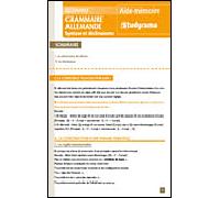 Grammaire Allemande - Syntaxe Et Déclinaisons