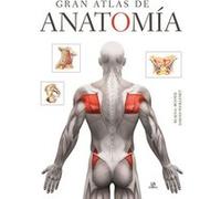 Gran Atlas De Anatomía Benner, Klaus - U , Wuillemet, Sascha (Auteur)