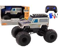 Grand 4x4 télécommandé 2.4G RC 1:6 Gris
