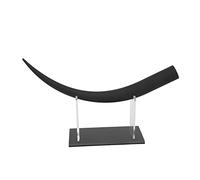 Grand Affichage du Modèle de Cils avec Processus de Sculpture Fine 3D | Stand en Plastique épais pour la Formation et l'enseignement | Braillage 300x pour les Extensions et Démonstration Cils