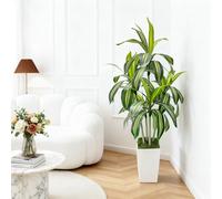 Grand arbre de dragon artificiel - 150 cm - Pour l'intérieur et l'extérieur - Avec pot blanc - Décoration moderne