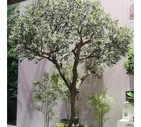 Grand Arbre D'olivier Artificiel - Plante en Soie Artificielle avec des Olives Réalistes Et Un Tronc Solide en Bois Naturel, Décoration Peu Exigeante pour L'intérieur 2mx1.8m