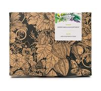 Grand assortiment de Basilic - kit cadeau de semences avec 8 variétés différentes de basilic aromatique
