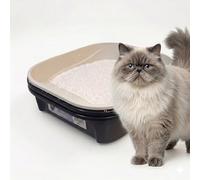 Grand bac à litière pour chat avec système de tamisage intelligent pour l'hygiène, les économies et le confort - Bac à litière durable à dossier haut, facile à nettoyer pour chats heureux (noir)