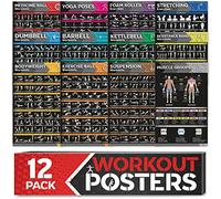 GRAND BASICS [Lot de 12 grandes affiches d'entraînement laminées - Affiches parfaites pour les tableaux d'exercices de salle de sport à domicile avec haltères, poses de yoga, kettlebell, étirements et