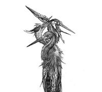 Grand Blue Heron - Hatch [Import]