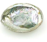 Grand bol coloré en coquille d'ormeau naturel de 10 à 11,4 cm pour brûler de la sauge et l'encens en coquillage de mer pour décoration et présentation