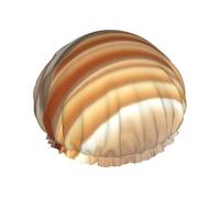 Grand bonnet de bain imprimé cercle abstrait tourbillon Convient à toutes les longueurs de cheveux Protège les cheveux bonnet de bain réutilisable