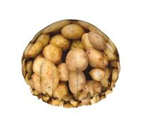 Grand bonnet de douche imprimé pommes de terre de jardin, double couche de protection des cheveux pour soins du visage, enveloppement de cheveux réutilisable