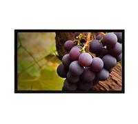 Grand Cadre Photo numérique de 32 Pouces, écran IPS Full HD, minuterie Marche/arrêt, Montage Mural, Facile à Installer (Color : Black, Size : Without WiFi)