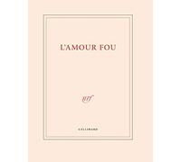Le Grand Cahier : L'amour Fou