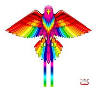 Grand cerf-volant aigle arc-en-ciel pour enfants et adultes, cerf-volant pour enfants de 4 à 8 ans, facile à piloter, parfait pour les débutants, cerf-volant de plage pour activités de plein air, jeux