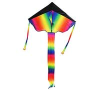 Grand cerf-volant arc-en-ciel cadeau d'avion libre pour les tout-petits Jeux de sport en plein air Jouet facile à voler Grand dragon arc-en-ciel