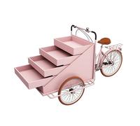 Grand chariot de distribution de tricycle avec assistance à pédale à chargement frontal, chariot mobile pour la vente de nourriture et de fleurs, design à corps ouvert avec grande capacité de