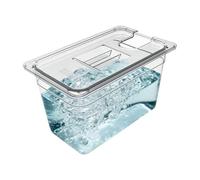 Grand Contenant Sous Vide,Réservoir d'Eau Sous Vide avec Couvercle - Boîte de Cuisson Hermétique Transparente pour Marinades de Viandes