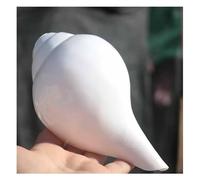 Grand coquillage naturel de la plage de la mer, Grands coquillages naturels de 11 à 12 cm for décoration de mariage, fête sur le thème de la plage, décorations for la maison, bricolage