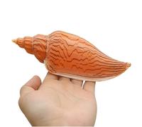 Grand coquillage naturel de la plage de la mer, Grands coquillages naturels, énormes conques océaniques de 15 à 16 cm, coquillages géants parfaits for les fêtes de mariage, les décorations for la mais