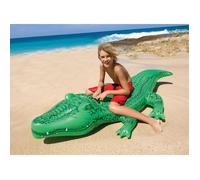 Grand crocodile à chevaucher
