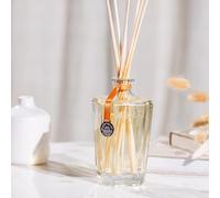 Grand diffuseur ambre précieux