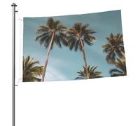 Grand drapeau de palmiers tropicaux de 6,1 x 0,9 m, imprimé double face, drapeau de jardin, drapeau de cour pour l'extérieur, les vacances, bannière cadeau avec œillets, toile de fond pour photo pour