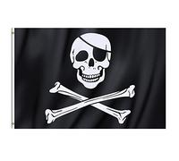Grand Drapeau de Pirate Noir Jolly Roger Crâne et Os 90 x 150 cm avec Anneaux Bannière Suspendue Thème Fête Bateau Fantôme Décoration TRIXES