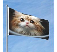 Grand drapeau d'extérieur double face avec 2 œillets en laiton - Motif chat mignon - Pour toutes les saisons - Pour jardin, cour, pelouse, décoration extérieure