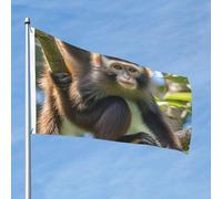 Grand drapeau d'extérieur double face avec 2 œillets en laiton - Motif singe mignon - Pour toutes les saisons - Pour jardin, cour, pelouse, décoration extérieure
