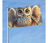 Grand drapeau d'extérieur double face de 0,9 x 1,5 m avec 2 œillets en laiton - Motif chouette mignonne - Pour toutes les saisons - Pour jardin, pelouse, décoration extérieure
