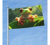 Grand drapeau d'extérieur double face de 0,9 x 1,5 m avec 2 œillets en laiton - Motif grenouille mignonne - Pour toutes les saisons - Pour jardin, pelouse, décoration extérieure