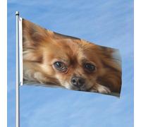 Grand drapeau d'extérieur double face de 61 cm avec 2 œillets en laiton avec fourrure marron pour jardin, cour, pelouse, décoration extérieure