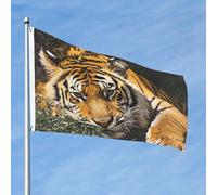 Grand drapeau d'extérieur double face de 61 cm avec 2 œillets en laiton - Drapeau de cour au repos - Drapeau de bienvenue pour toutes les saisons - Pour jardin, cour, pelouse, décoration extérieure