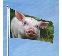 Grand drapeau d'extérieur double face de 61 cm avec 2 œillets en laiton - Drapeau mignon en forme de cochon - Pour toutes les saisons - Pour jardin, cour, pelouse, décoration extérieure