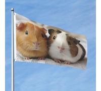 Grand drapeau d'extérieur double face de 61 cm avec 2 œillets en laiton - Pour toutes les saisons - Pour jardin, cour, pelouse, décoration extérieure