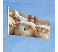 Grand drapeau d'extérieur double face de 61 cm avec 2 œillets en laiton - Pour toutes les saisons - Pour jardin, cour, pelouse, décoration extérieure