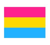 Grand drapeau Pan Pride 3 x 5 FT en tissu robuste | Bannière pansexuelle lumineuse et colorée pour balcon, jardin, fenêtre, défilé, festival et décoration de chambre - Drapeau décoratif LGBT
