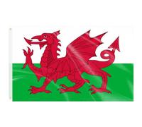 Grand Drapeau Pays de Galles 150x90cm avec Oeillets - Déco Fête Supporter | Grand Drapeau Pays de Galles Bannière Foot Nations League 2026 Saint-David Jardin Bar Rue Extérieur Défilé Supporter